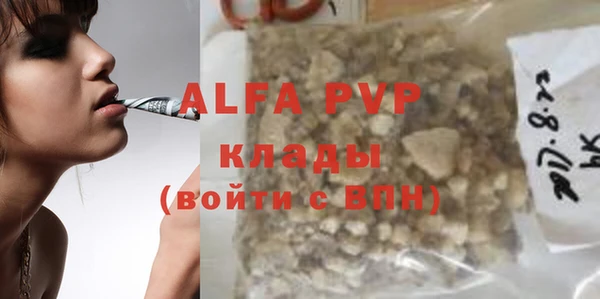 спиды Чекалин