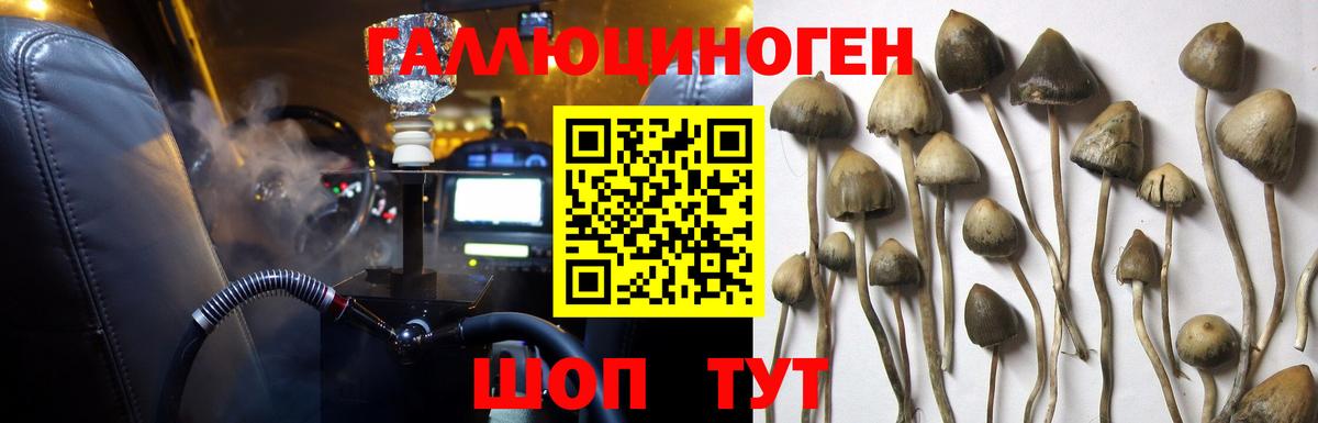 Галлюциногенные грибы GOLDEN TEACHER  Вход с VPN  купить наркоту  Мариинск  Псилоцибиновые грибы Psilocybine cubensis 
